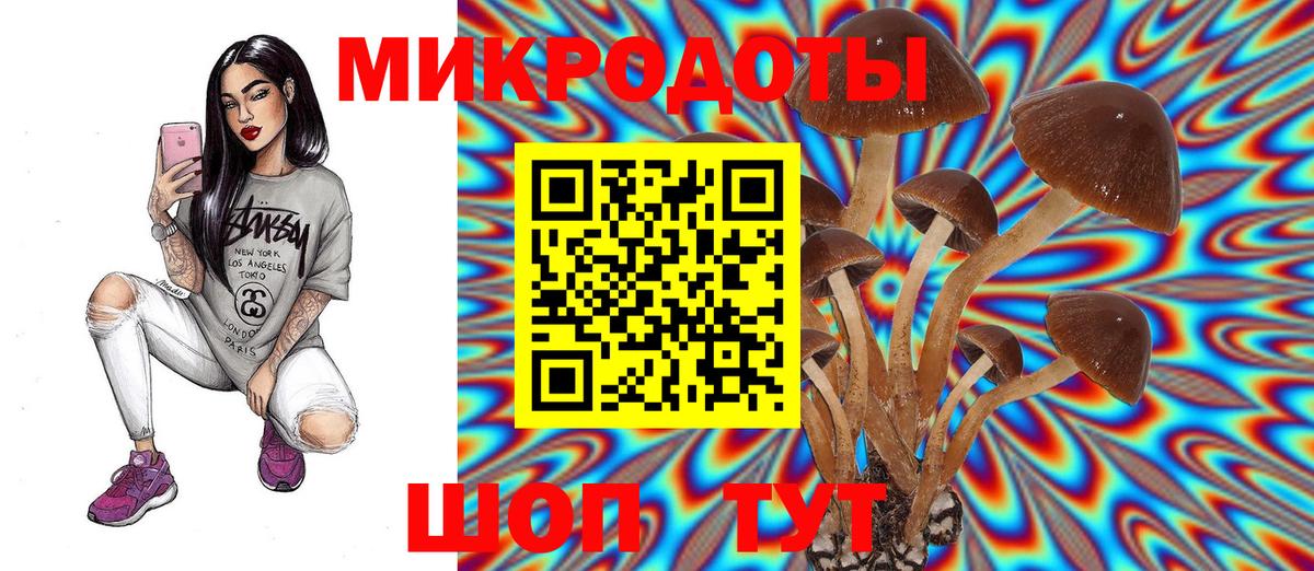 Магнитогорск  Псилоцибиновые грибы Psilocybe  Вход с VPN  Псилоцибиновые грибы мицелий 