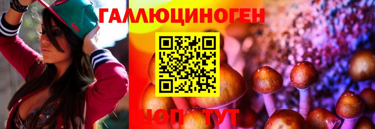 Галлюциногенные грибы прущие грибы Магнитогорск